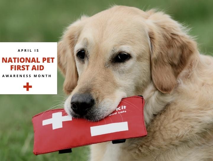 National Pet Awareness Month